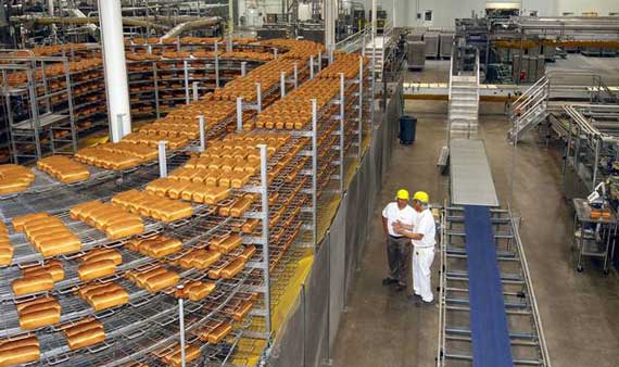 خط تولید نان صنعتی